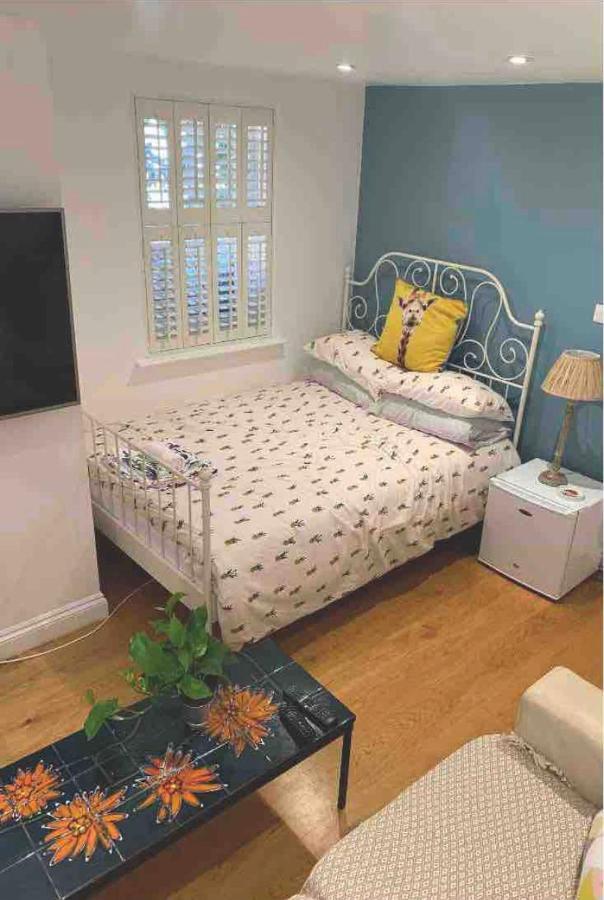 Stylish Modern Studio, Mock Georgian House, Heart Of Trendy Hackney & Londyn Zewnętrze zdjęcie